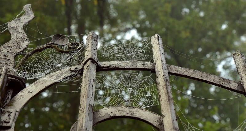Chrono Portal